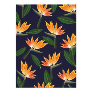 Impression Photo Oiseau de fleur de paradis