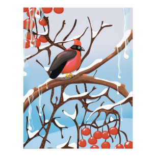 Impression Photo oiseau d'hiver