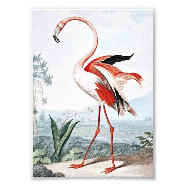 Impression Photo Oiseau flamant rose Art vintage (Devant)