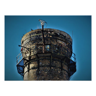 Impression Photo "Oiseau's Eye View"