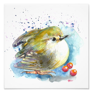 Impression Photo Oiseaux et baies