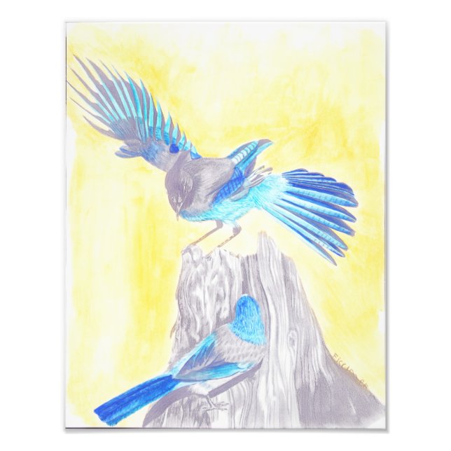 Impression Photo Oiseaux sur un moignon (Devant)