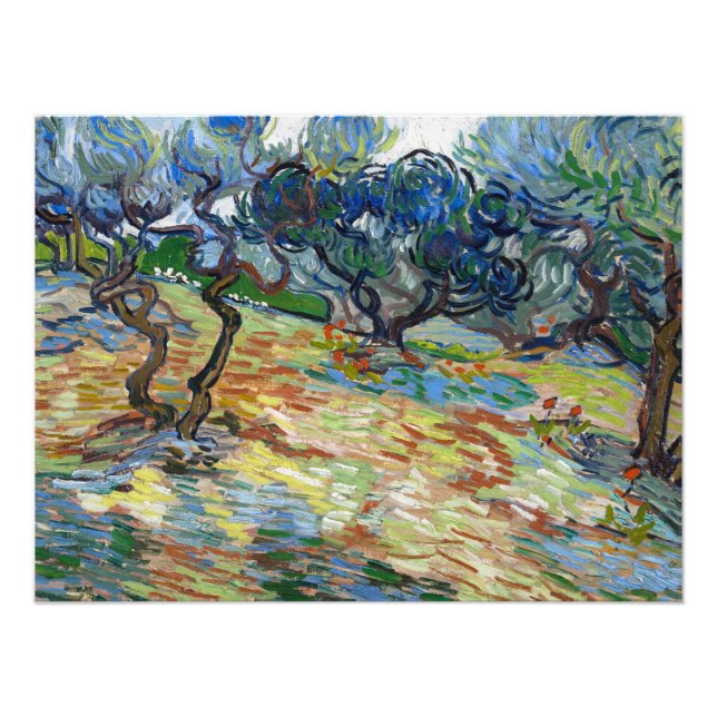 Impression Photo Olive Trees par Vincent van Gogh (Devant)