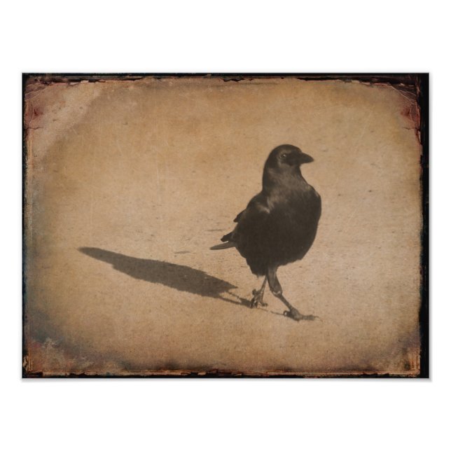 Impression Photo Ombre (Devant)