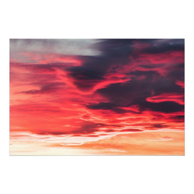 Impression Photo onde féline (Devant)