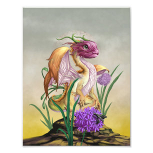 Impression Photo Onion Dragon 8,5 x 11 Imprimer