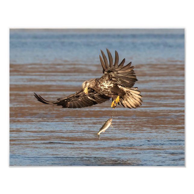 Impression Photo Opportunité manquée (Devant)