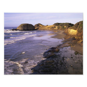 Impression Photo OR, côte de l'Oregon, Newport, rivage à Seal