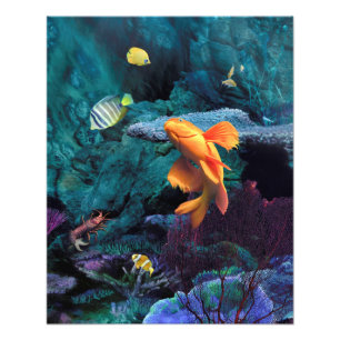 IMPRESSION PHOTO ORANGE FISH BLUE OCEAN