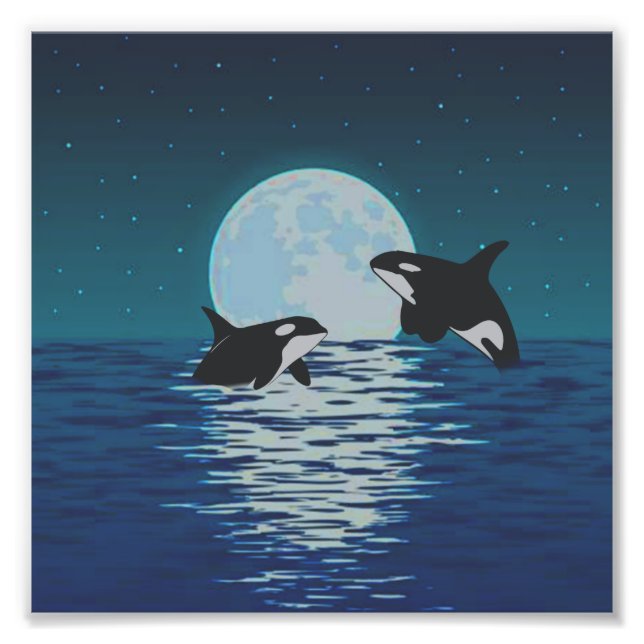 Impression Photo Orca Killer Whale Moonlight (Devant)