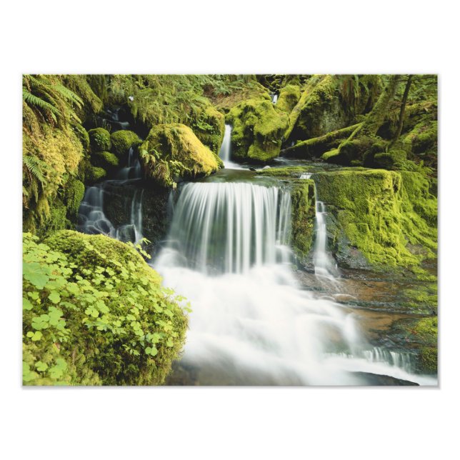 Impression Photo Oregon, Cascade dans le parc national Willamette (Devant)
