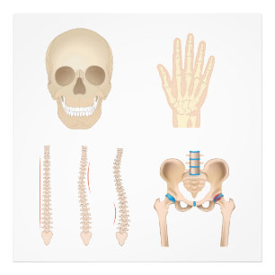 Impression Photo os humains