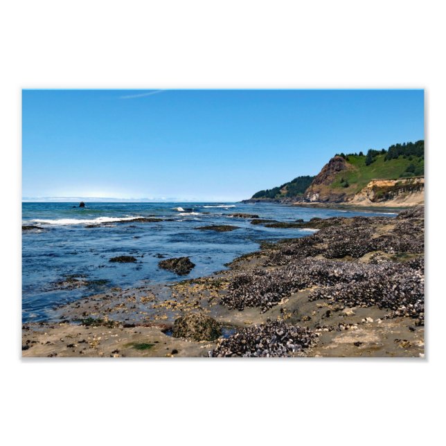 Impression Photo Otter Crest Beach Oregon (Devant)