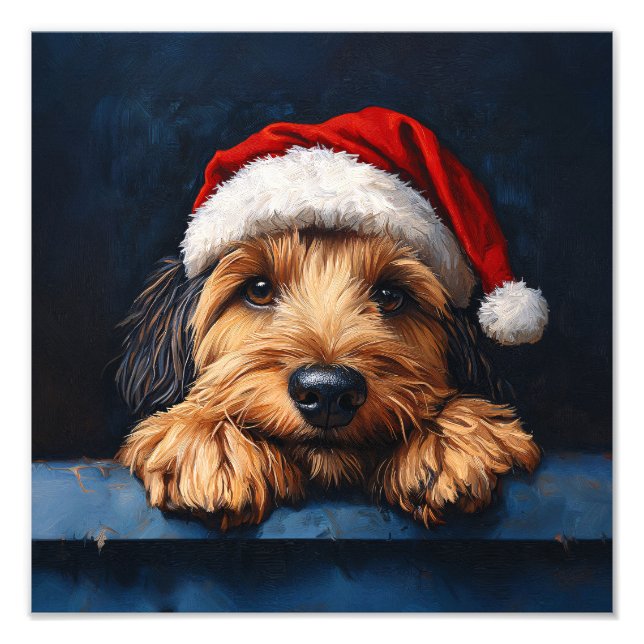 Impression Photo Otterhound Dans Un Chapeau De Père Noël (Devant)