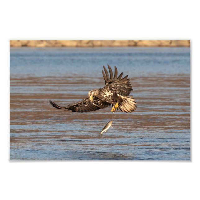 Impression Photo Oups, Je L'Ai Laissé Tomber. (Devant)