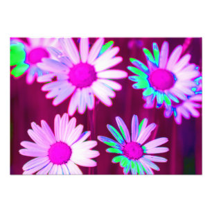 Impression Photo Oxeye Daisy Meadow Pop Art Style