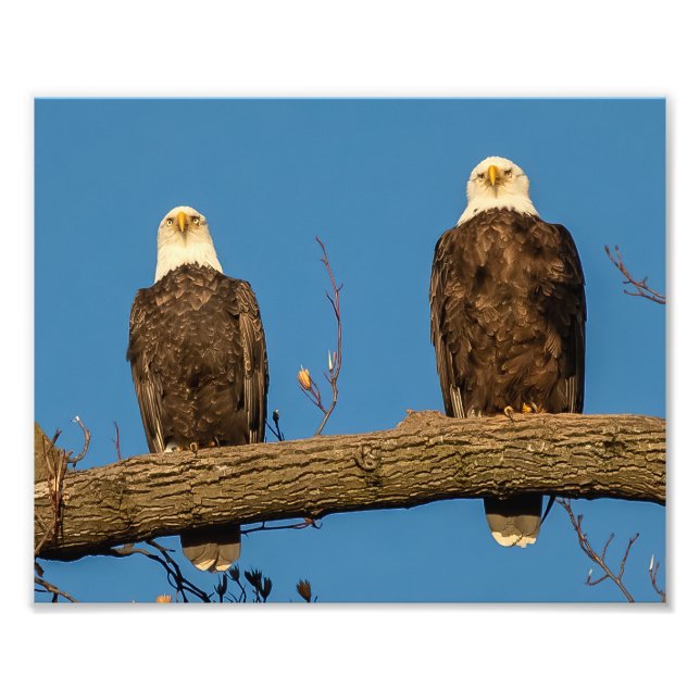 Impression Photo Pa Et Ma Eagle (Devant)