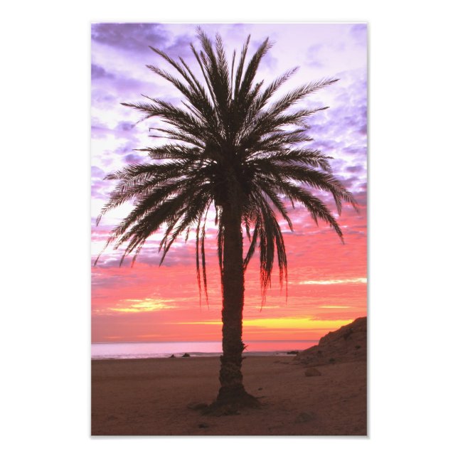 Impression Photo Palm Tree et Dawn Sky (Devant)