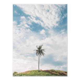 Impression Photo Palme Lone Sous Ciel Bleu Tropical minimaliste