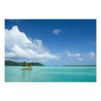 Palmier dans la lagune de Bora Bora