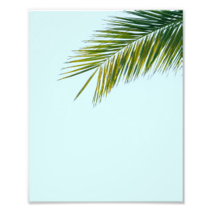 Impression Photo Palmier Vert Tropical sur Fond Bleu Clair