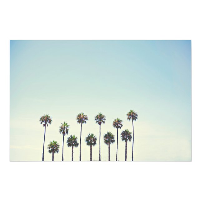 Impression Photo Palmiers en Californie (Devant)