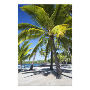 Impression Photo Palmiers, Parc National Historique Pu'uhonua o 2