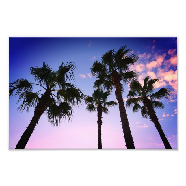Impression Photo Palmiers se balançant à Noël à Destin en Floride (Devant)