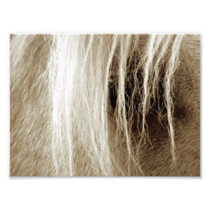 Impression Photo Palomino Sepia