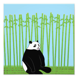 Impression Photo Panda dans une forêt de bambou