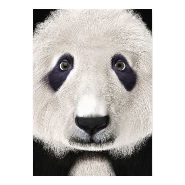 Impression Photo Panda roux (Devant)