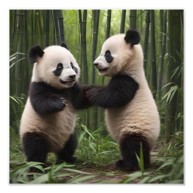 Impression Photo Pandas Bébés En Jeu Dans Une Forêt De Bambou, (Devant)