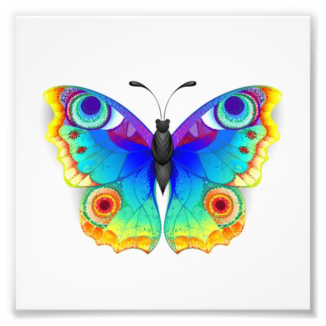 Impression Photo Papillon arc-en-ciel paon oeil (Devant)