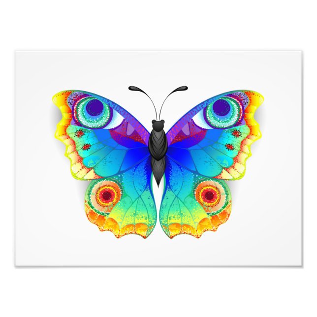 Impression Photo Papillon Arc-en-ciel Paon Yeux (Devant)