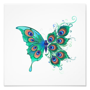 Impression Photo Papillon aux plumes de paon vert