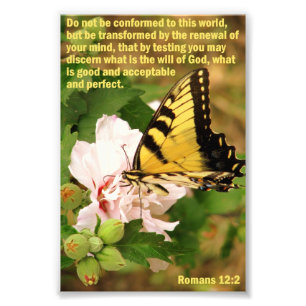 Impression Photo Papillon avec Romans 12:2