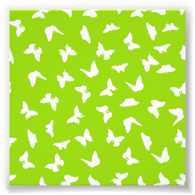 Impression Photo Papillon blanc motif esthétique sur fond vert (Devant)