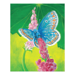 Impression Photo Papillon bleu de Chapmans (thersites en polyommatu