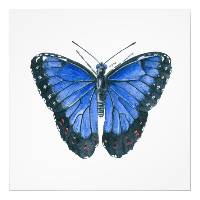 Impression Photo Papillon bleu Morpho aquarelle peinture (Devant)