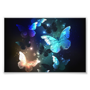 Impression Photo Papillon de nuit