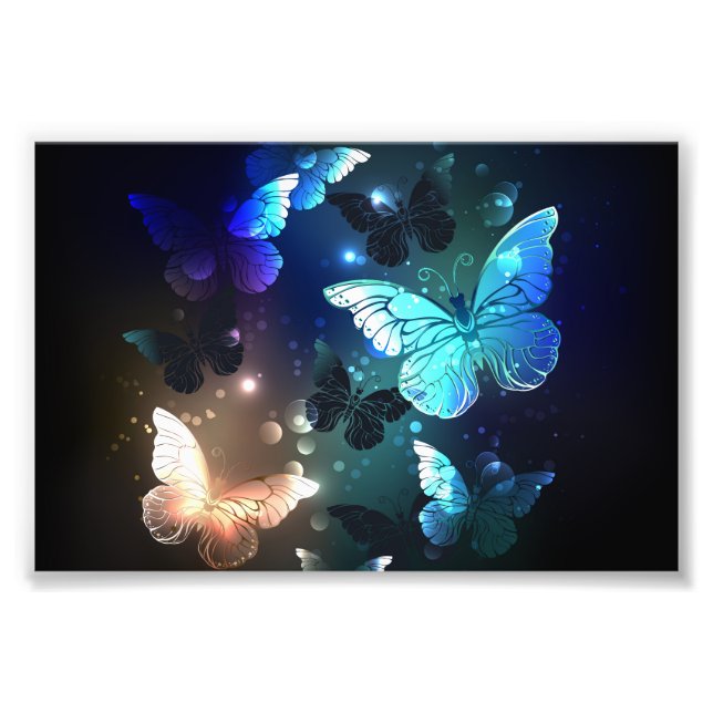 Impression Photo Papillon de nuit (Devant)