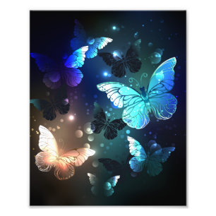 Impression Photo Papillon de nuit