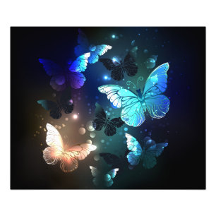 Impression Photo Papillon de nuit