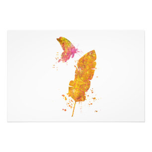 Impression Photo Papillon Feuille Forêt Sauvage Nature Monde Terre