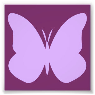 Impression Photo papillon lilas