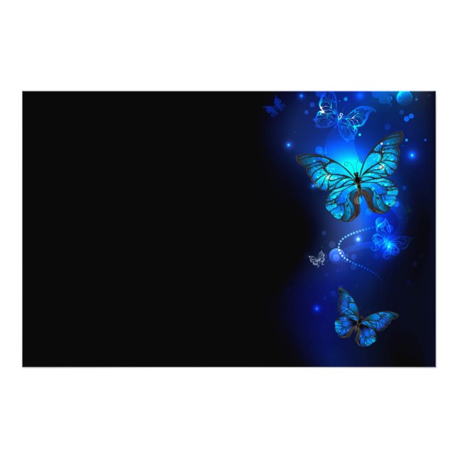 Impression Photo Papillon Morpho sur fond sombre (Devant)
