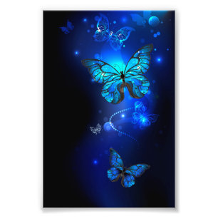 Impression Photo Papillon Morpho sur fond sombre