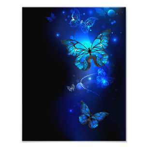 Impression Photo Papillon Morpho sur fond sombre