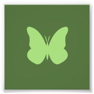Impression Photo papillon sauge