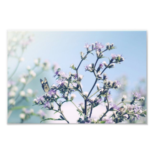 Impression Photo Papillon sur branche de fleur violette (Devant)